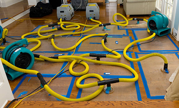 Professional Crawl Space Water Removal technician working in Beaufort, SC